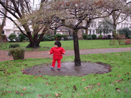 27 Feb tree.jpg